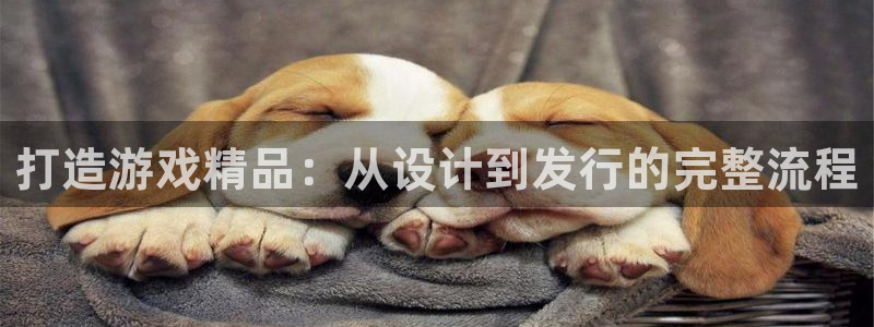 db电竞官网登录注册账号安全吗可靠吗：打造游戏精品：从设计到发行的完整流程