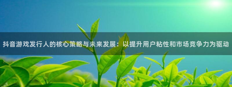 db电竞集团是什么企业：抖音游戏发行人的核心策略与未来发展：以提升用户粘性和市场竞争力为驱动