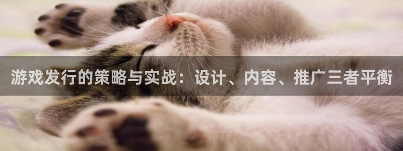 db电竞官网注册方法视频下载：游戏发行的策略与实战：设计、内容、推广三者平衡