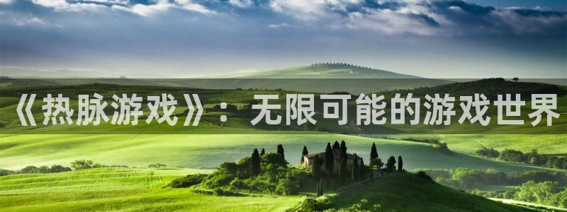 陕西db电竞子文化公司有什么游戏：《热脉游戏》：无限可能的游戏世界