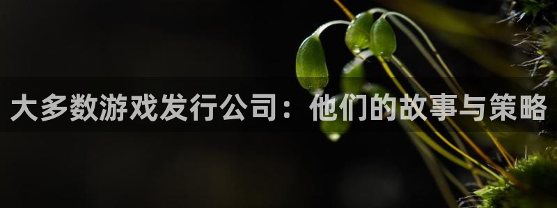 db电竞官网的奇趣腾讯是真的吗：大多数游戏发行公司：他们的故事与策略