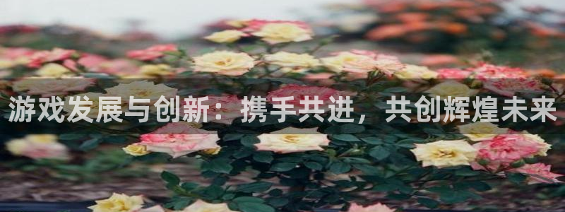 db电竞官网骗局是真的吗：游戏发展与创新：携手共进，共创辉煌未来