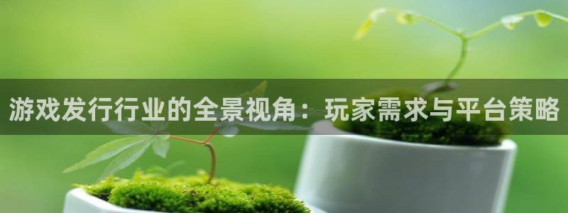 db电竞子出版社董事长：游戏发行行业的全景视角：玩家需求与平台策略
