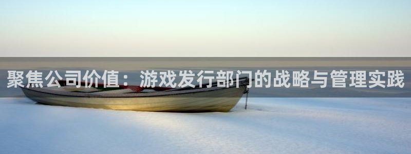 db电竞电商怎么样知乎：聚焦公司价值：游戏发行部门的战略与管理实践