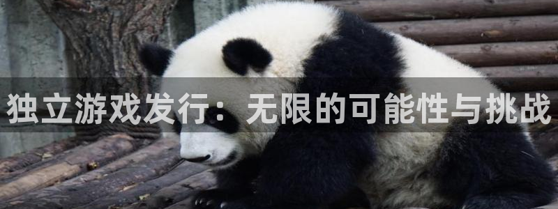 db电竞子集团：独立游戏发行：无限的可能性与挑战