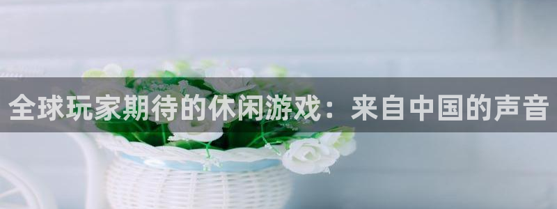 db电竞官网平台代理条件怎么样：全球玩家期待的休闲游戏：来自中国的声音