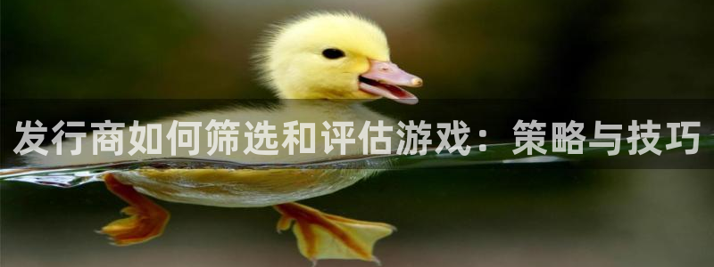 db电竞子书单：发行商如何筛选和评估游戏：策略与技巧