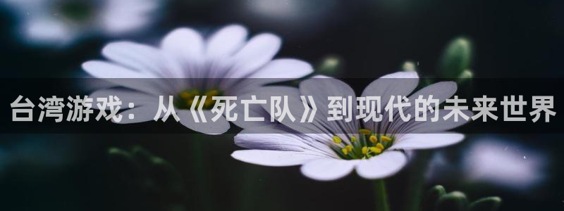 db电竞logo：台湾游戏：从《死亡队》到现代的未来世界