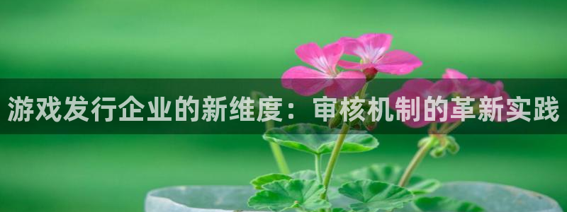 db电竞品牌logo：游戏发行企业的新维度：审核机制的革新实践