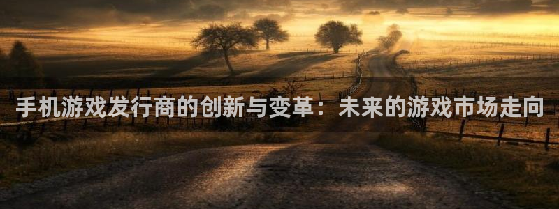 广州db电竞投资管理顾问有限公司：手机游戏发行商的创新与变革：未来的游戏市场走向