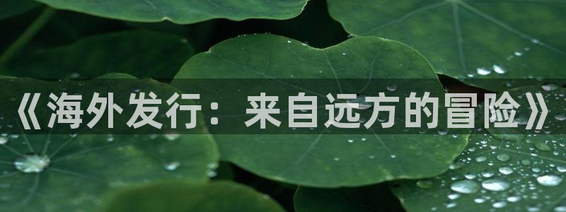 db电竞子公司怎么样：《海外发行：来自远方的冒险》