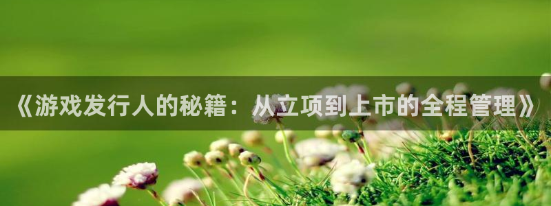 db电竞子经理人读后感：《游戏发行人的秘籍：从立项到上市的全程管理》