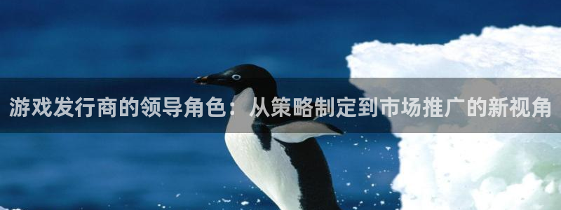 db电竞官网注册平台怎么样：游戏发行商的领导角色：从策略制定到市场推广的新视角