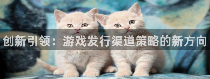 db电竞官网代理注册不了：创新引领：游戏发行渠道策略的新方向