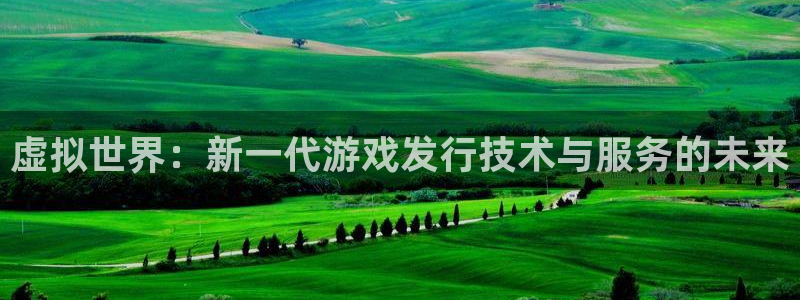 陕西db电竞子文化创意骗局：虚拟世界：新一代游戏发行技术与服务的未来