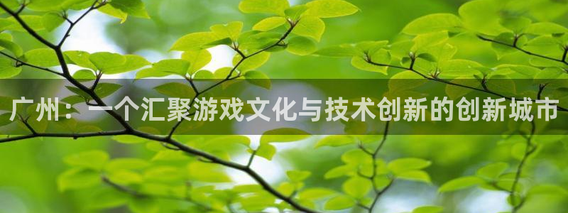 db电竞子教育科技(江门)有限公司：广州：一个汇聚游戏文化与技术创新的创新城市